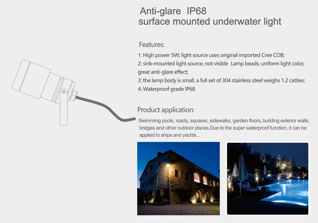 5W LED pool light-2.jpg